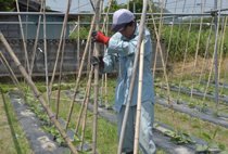 支柱づくり