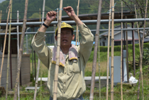 支柱の結び目を確認